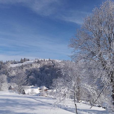 Верховинський Котедж Bukovets Екстериор снимка