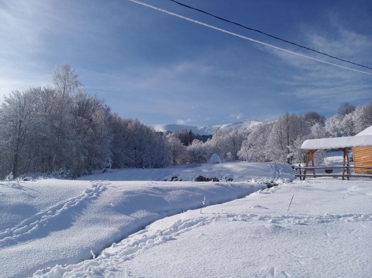 Верховинський Котедж Bukovets Екстериор снимка