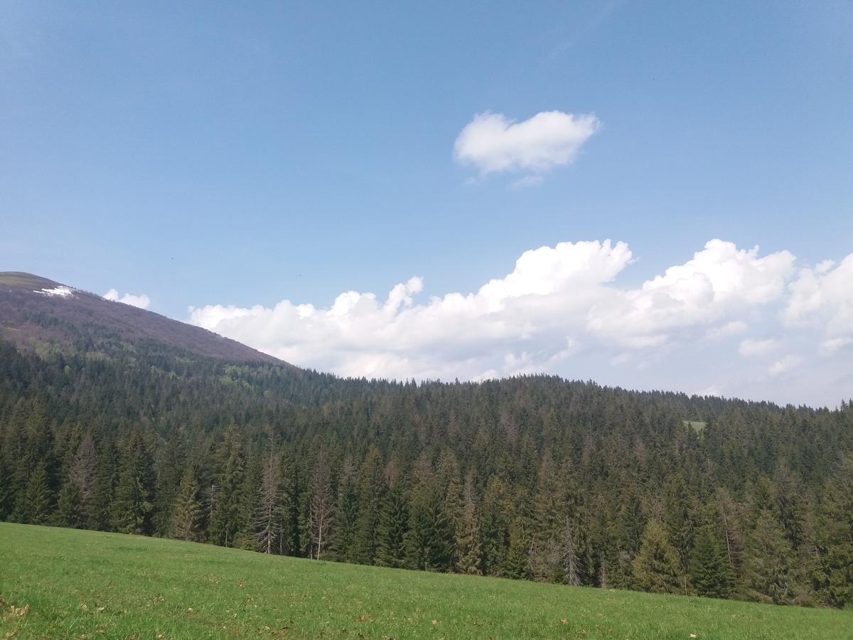 Верховинський Котедж Bukovets Екстериор снимка