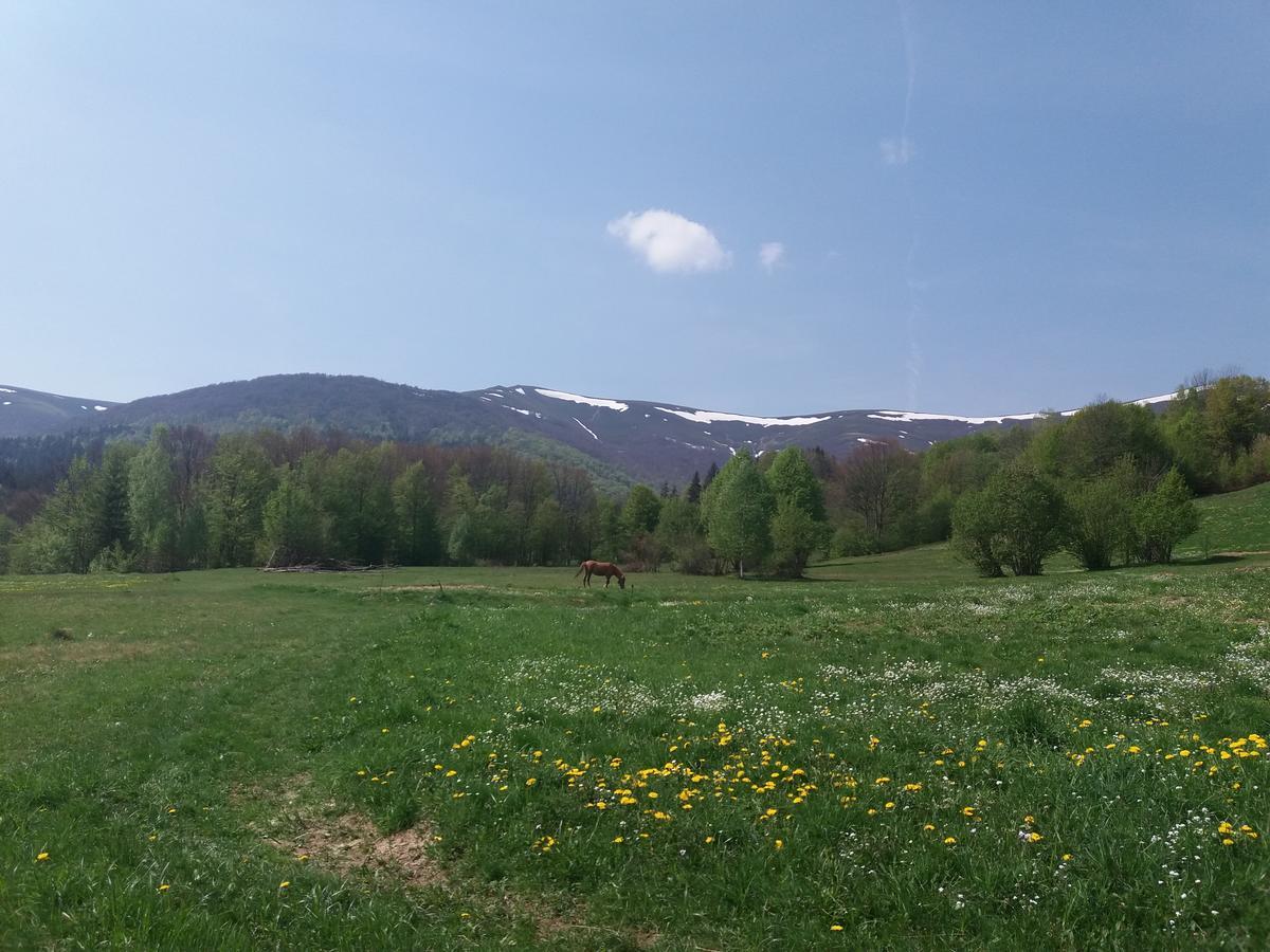 Верховинський Котедж Bukovets Екстериор снимка