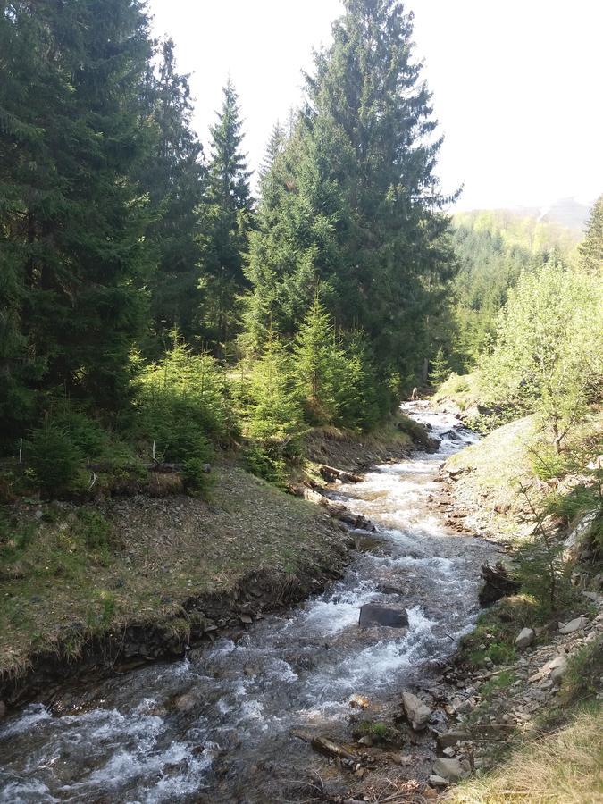 Верховинський Котедж Bukovets Екстериор снимка